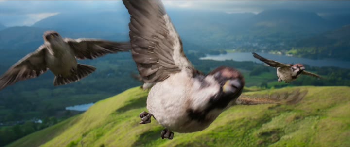 Peter Rabbit | Ranime