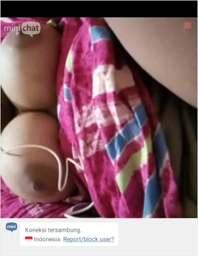 Cantik Live Colmek Video Sex Kucing 4 Lonte