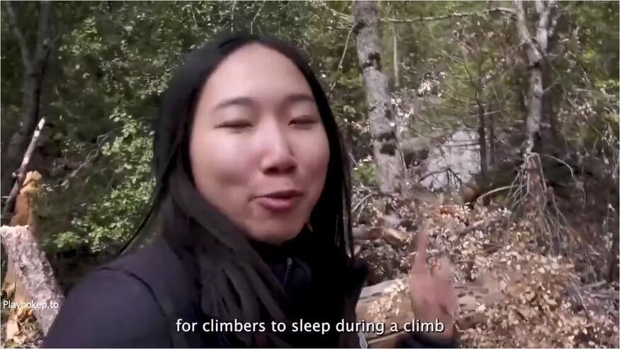 Di Hutan Sepi