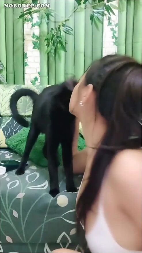 Bokep Indo Miss Olla Dreamlive Ebot Godain Pascol - Gobokep